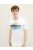 1036328-10322 Tom Tailor logó nyomatos póló törtfehér színben